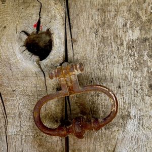 Heurtoir de porte en anneau sur bois avec neoud - France  - collection de photos clin d'oeil, catégorie portes